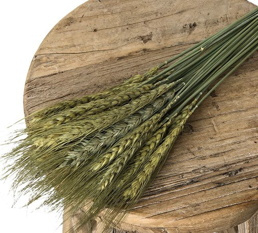Wheat Grass Natural