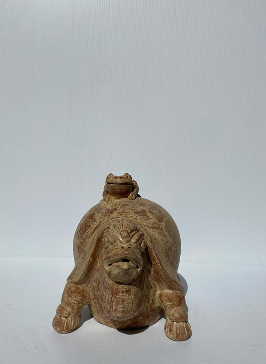 Turtle with Little Frog