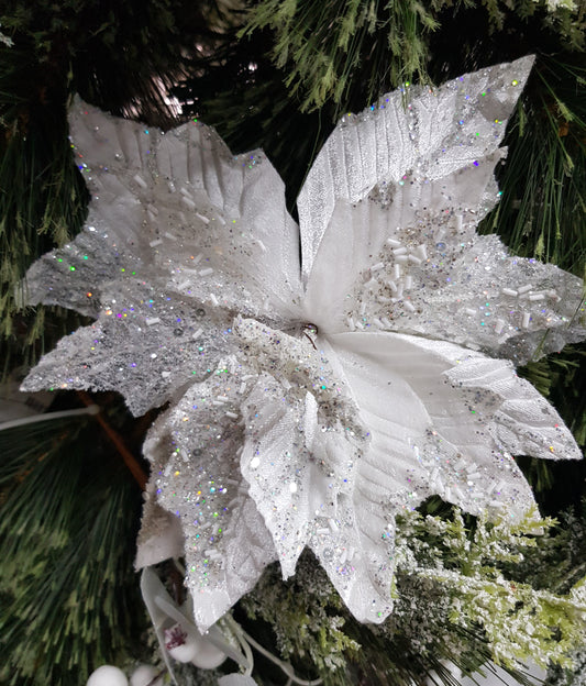 White & Silver Poinsettia