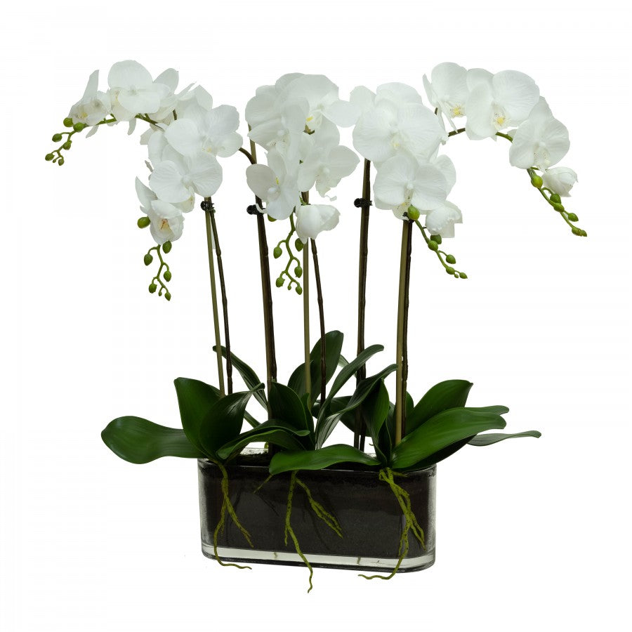 Artificial Plants