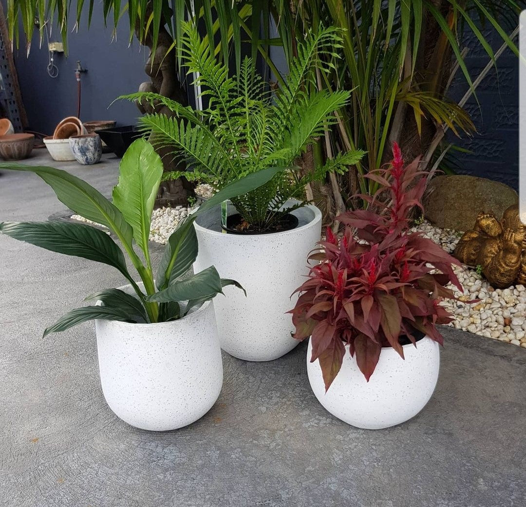Indoor/Outdoor Pots