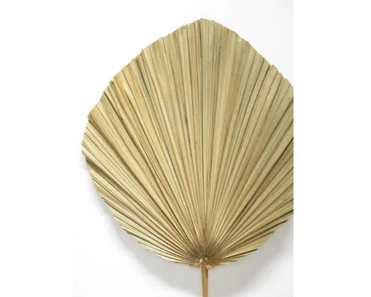 Palm Leaf Deco Stick 110 cm