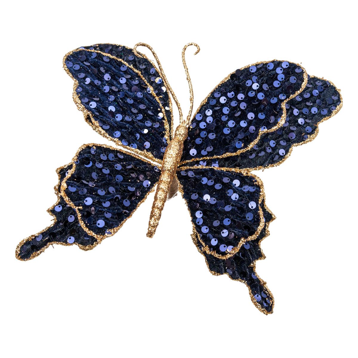 Midnight Blue Butterfly