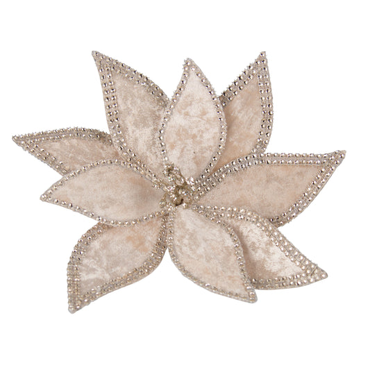 Poinsettia Champagne Braid Edge
