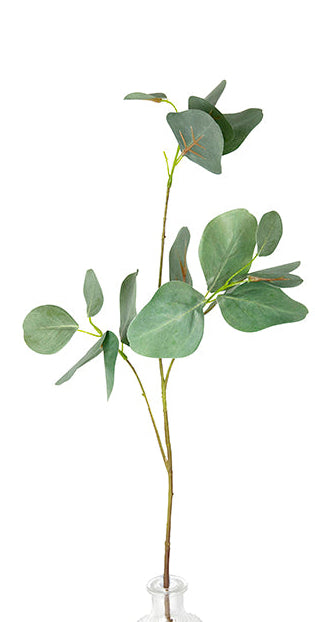 Kora Eucalyptus Spray 1
