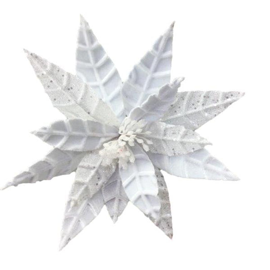 White Poinsettia 3