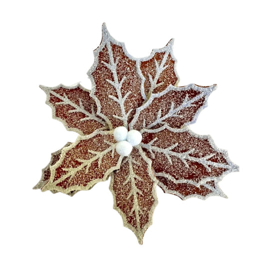 Ginger White Poinsettia