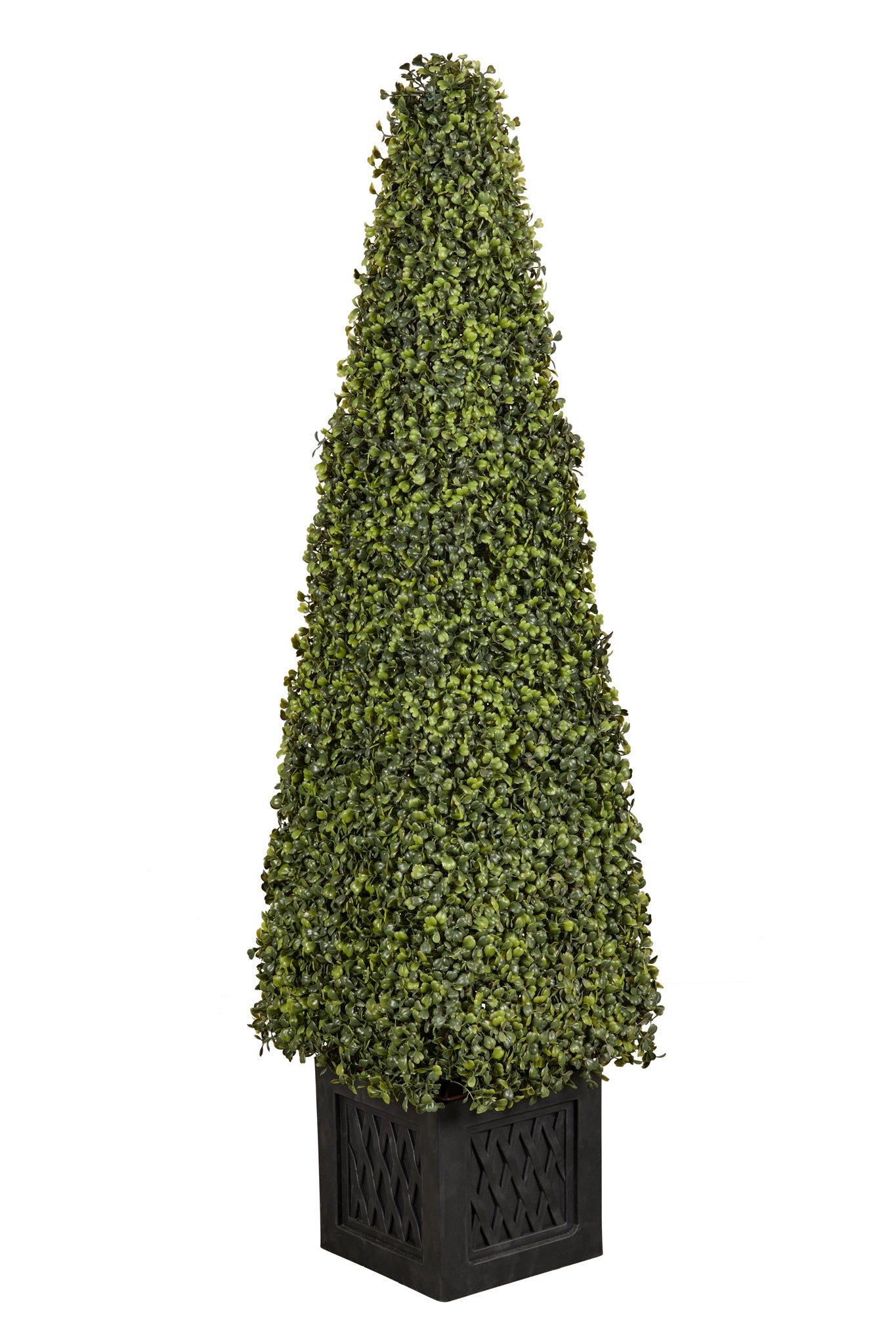 Potted Cone Topiary