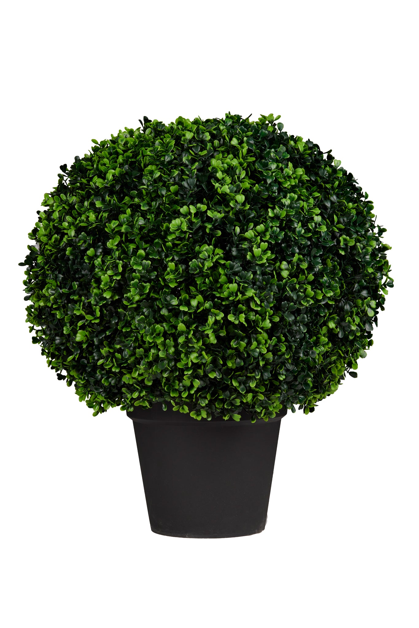 Potted Ball Topiary
