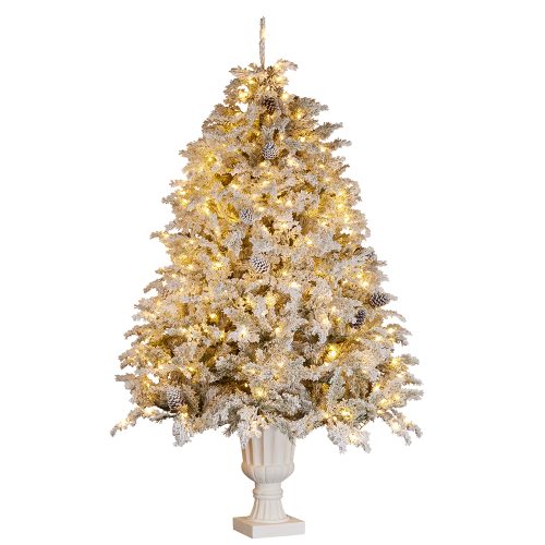 Potted Alpine Fir 7.5ft with Lights