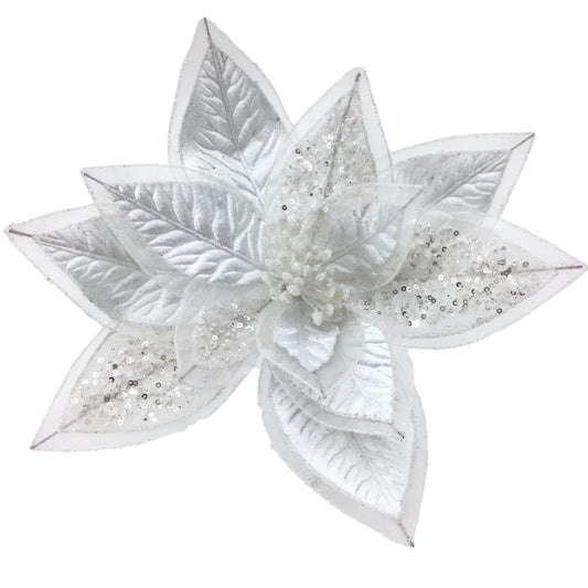 White Poinsettia No 4