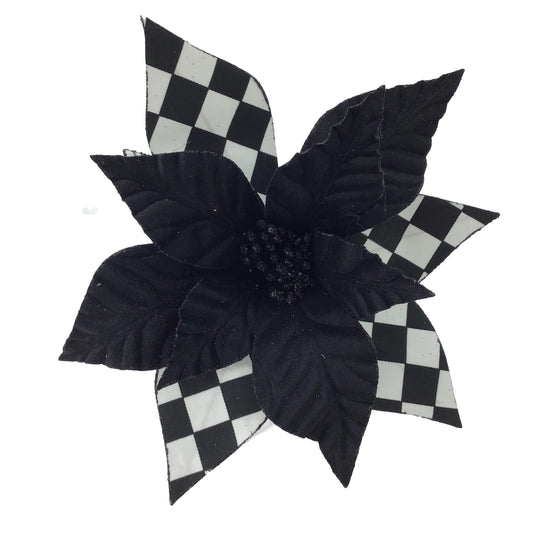 Black White Poinsettia