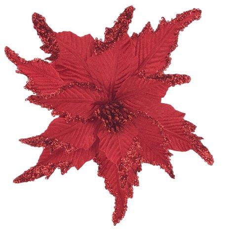Red Poinsettia 2