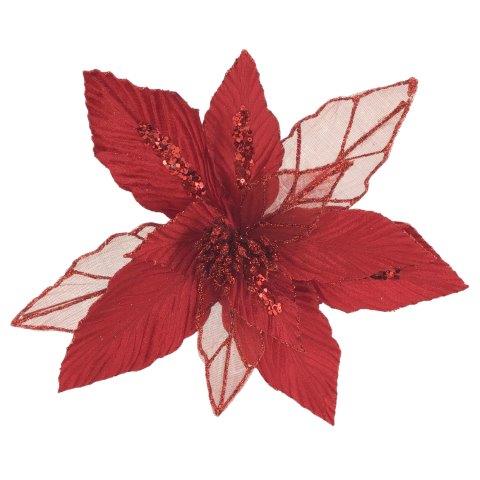 Red Poinsettia 3