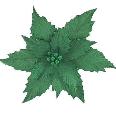 Green Poinsettia
