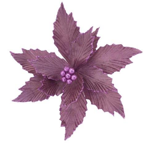 Purple Poinsettia 2