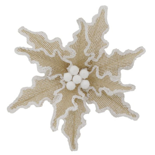 Natural White Edge Poinsettia