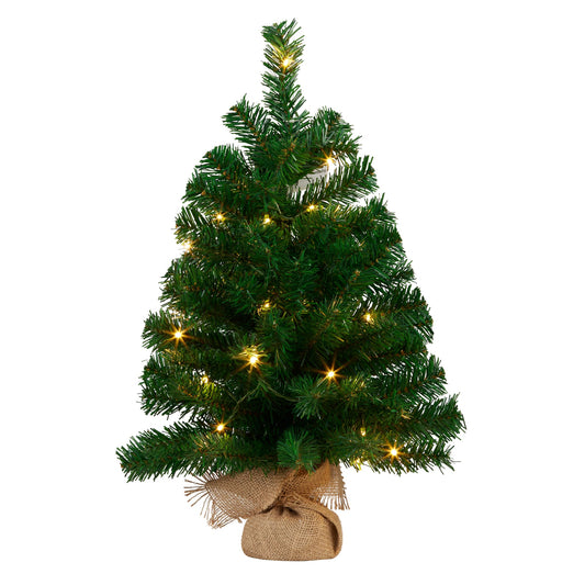 Christmas Tree with Lights Chadwick Green