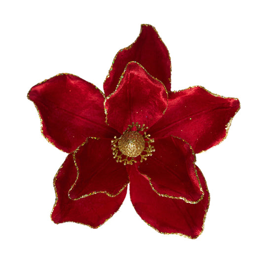 Magnolia Red Gold Egde