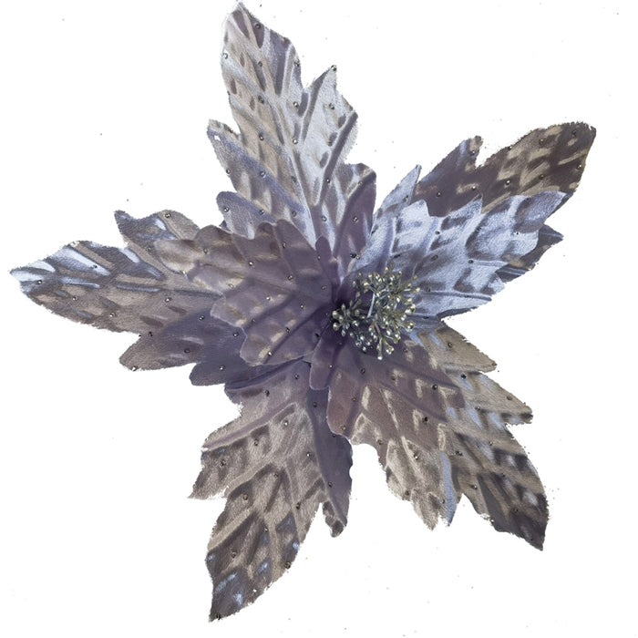 Poinsettia Lilac Clip on