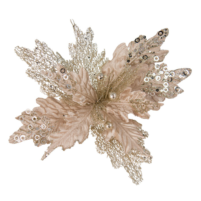 Champagne Twotone Glitter Poinsettia Clip on