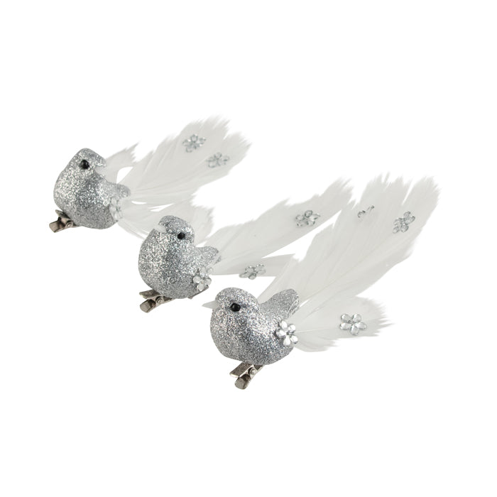 Bird Silver Jewel Tail