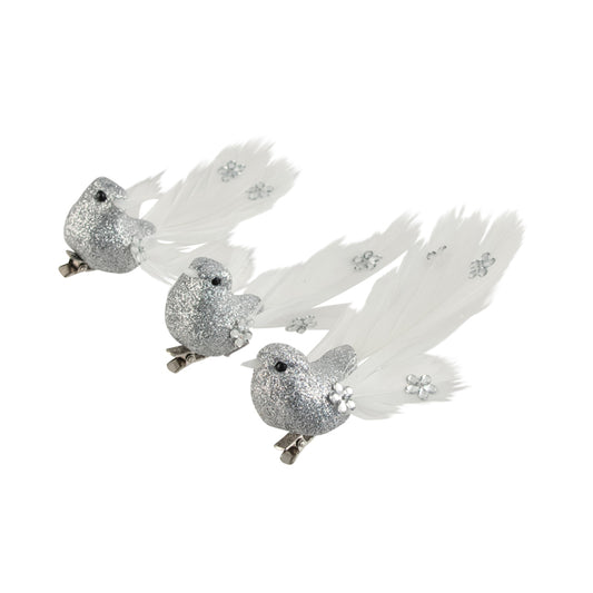 Bird Silver Jewel Tail