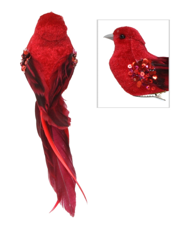 Bird Ava Red