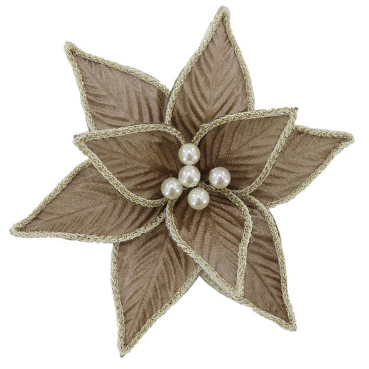 Tan Rope Edge Poinsettia