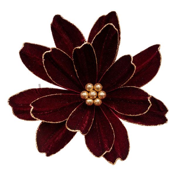 Burgundy Gold Edge Flower