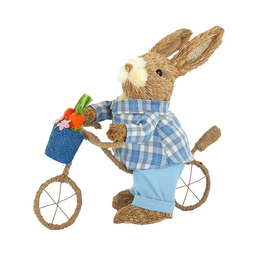 Tom Bunny on Bike