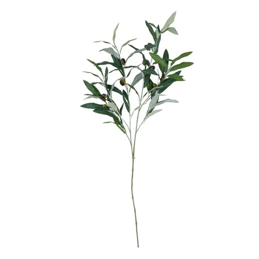 Olive Stem 125cm