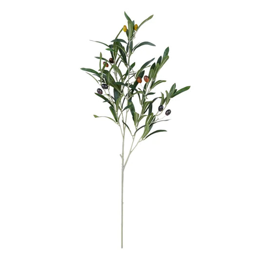 Olive Stem with Fruit 69cm