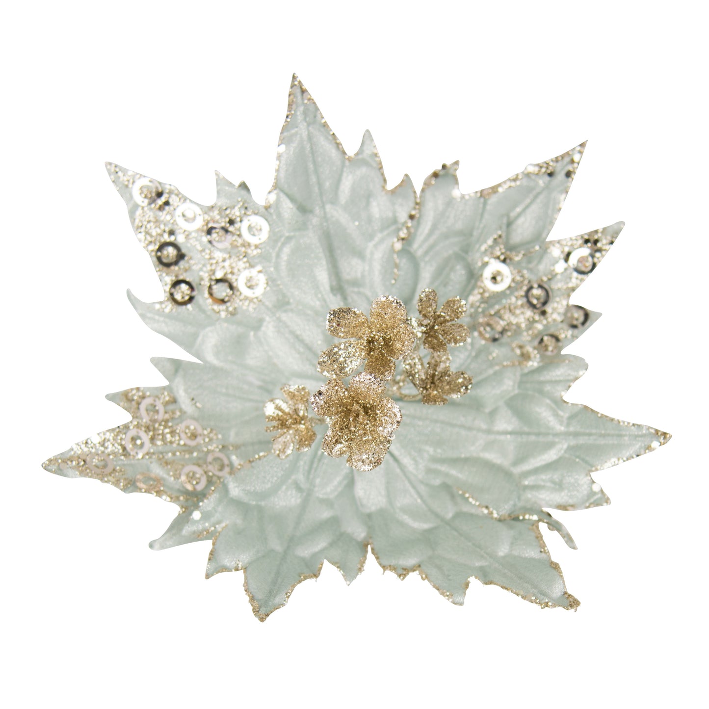 Mint Champagne Poinsettia