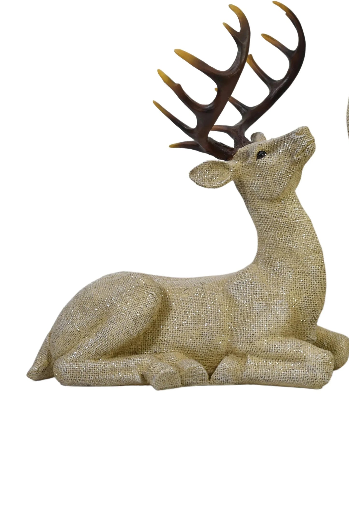 Sitting Deer Champagne Natural