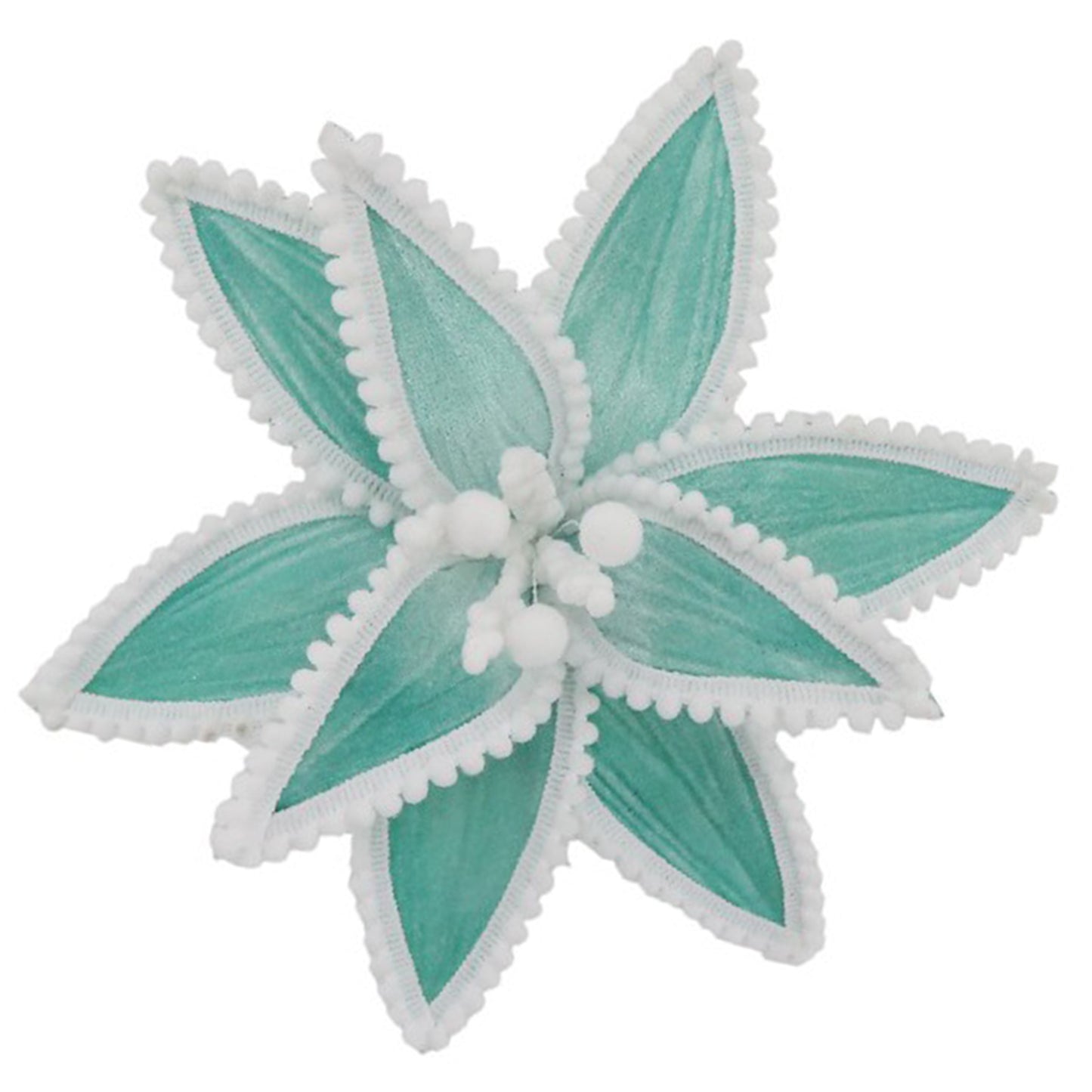 Tiffany White Edge Poinsettia