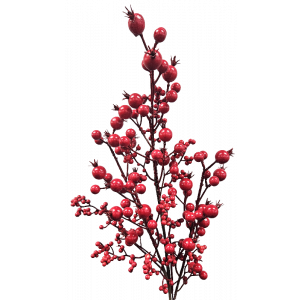 Berry Spray No 2 62cm