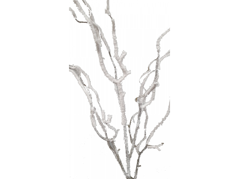 Twig with Snow