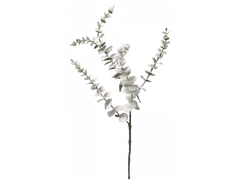 Eucalyptus Spray White