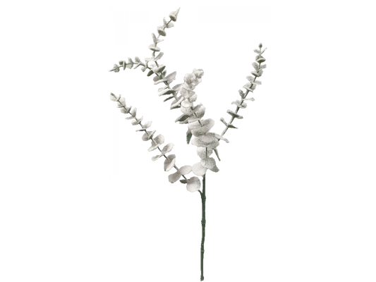 Eucalyptus Spray White