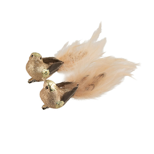 Clip Bird Gold Brown