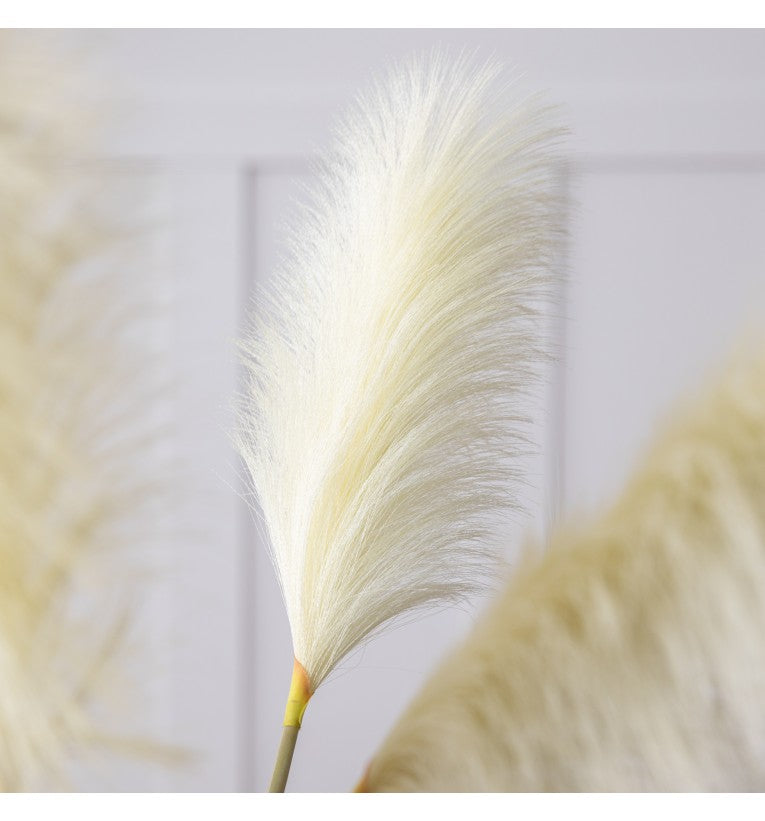Goma Soft Feather Stem Ivory