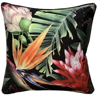 Bromeliad Black 45 x 45
