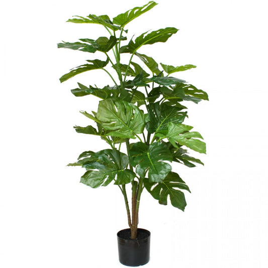 Split Philo Plant 106.5 cm