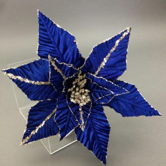 Royal Blue Poinsettia