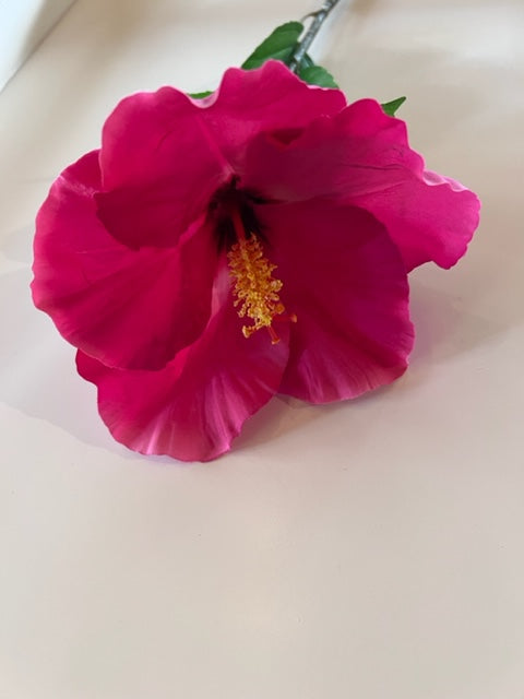 Hibiscus Spray Pink