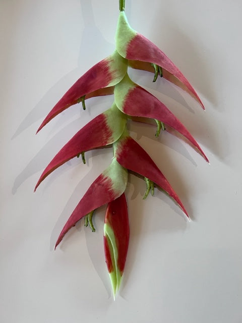 Heliconia Spray
