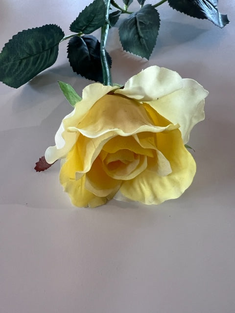 Alice Bud (Rose in Water) Yellow