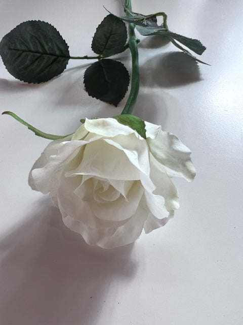 Alice Bud White Rose