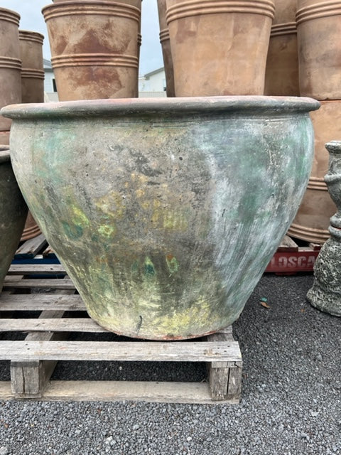Extra Large Ancient Tree Planter